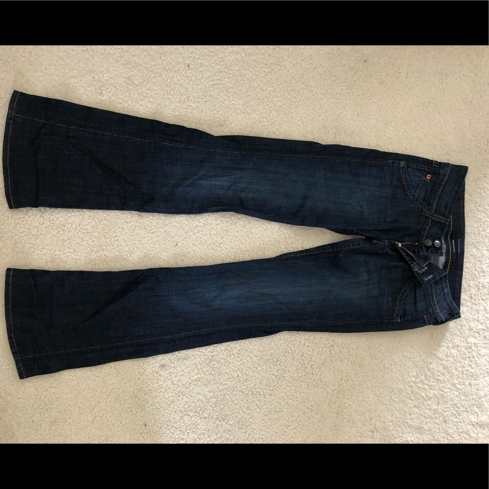 Hudson flare denim jeans